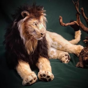 Pode incluir: Um le&atilde;o de pel&uacute;cia realista com uma juba castanha escura, rosto bege e corpo creme. O le&atilde;o est&aacute; deitado sobre uma superf&iacute;cie verde escura, com as patas e a cauda vis&iacute;veis. Um peda&ccedil;o de madeira flutuante est&aacute; no fundo.