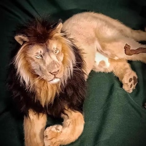 Leão de pelúcia realista feito à mão, brinquedo de pelúcia de animal rei em pele sintética imagem 1