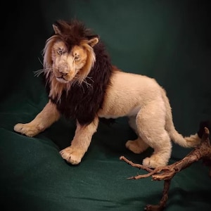 Pode incluir: Um le&atilde;o de pel&uacute;cia realista com corpo bege e juba castanha escura. O le&atilde;o est&aacute; posicionado sobre uma superf&iacute;cie verde, com rosto detalhado e textura de pelo realista. Um pequeno peda&ccedil;o de madeira est&aacute; em primeiro plano.