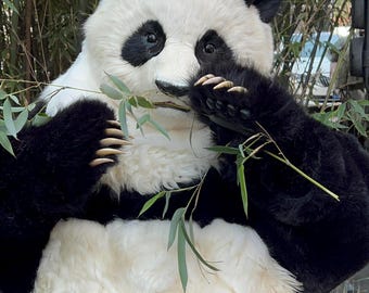 Realistic Handmade Panda Fursuit Costume, Full Body Plush Animal Suit
