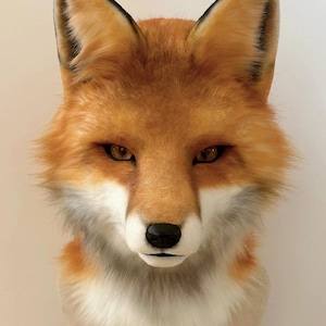May include: A lifelike fox head sculpture with orange, white, and black fur. The fox has detailed features, including a black nose, amber eyes, and pointed ears. The sculpture is mounted on a neutral-colored base.