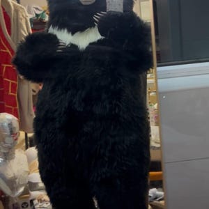 May include: A full-body black bear costume with a white chest patch. The bear suit has a plush, furry texture, with a detailed head featuring a snout, eyes, and ears. The person wearing the costume is holding a phone.