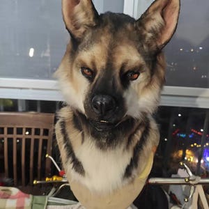 May include: A realistic canine head mask featuring thick, multi-toned fur in shades of brown, black, and cream. The mask has pointed, upright ears, a black nose, and amber-colored eyes. It is mounted on a wooden display stand.