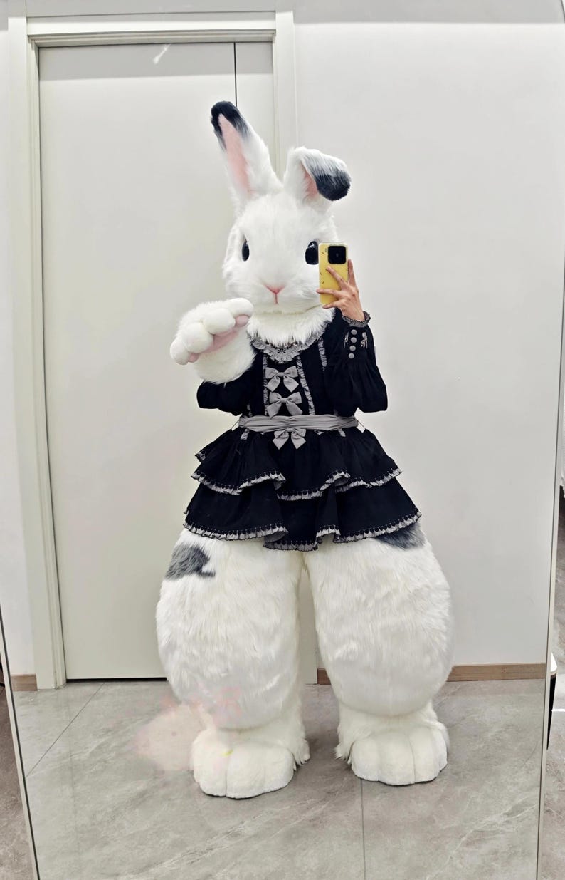 White Bunny Fursuit Full Set, Cute Rabbit Costume - Etsy