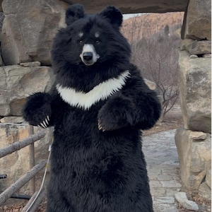 Realistischer Schwarzbär-Fursuit, handgemachtes Ganzkörper-Tier-Cosplay-Outfit, Wildtier-Kostüm