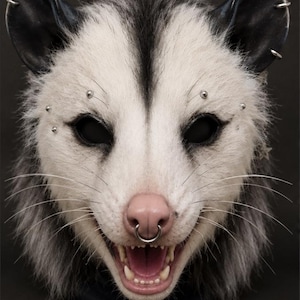 May include: A realistic opossum mask featuring white and gray fur, black eyes, and a pink nose. The mask is adorned with silver-toned metal piercings, including a septum ring, eyebrow studs, and rings along the edges of the black-tipped ears.