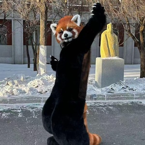 red panda dress up Kids Child Cozy Red Panda Costume L Black/Brown FUN Costumes