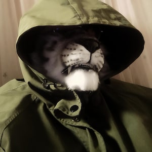 Realistic lion, tiger, and feline mouth masks, half-face costume masks for Halloween