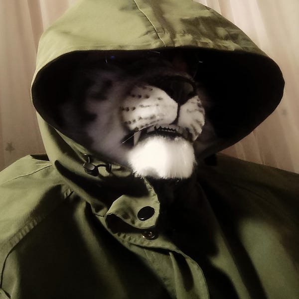 Dandys World Fursuit - Etsy