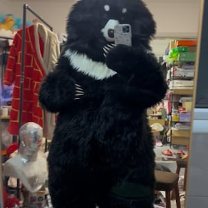 May include: A full-body black bear costume with a white chest marking. The furry costume features large paws with claws, a bear head with ears, and a white muzzle. The person wearing the costume is holding a phone in front of their face.