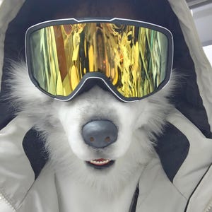May include: A person wearing a white and black ski mask with a wolf-like appearance. The mask has a black nose and mouth, with a white fur-like texture. The person is wearing a white hooded jacket and ski goggles with a yellow reflective lens.
