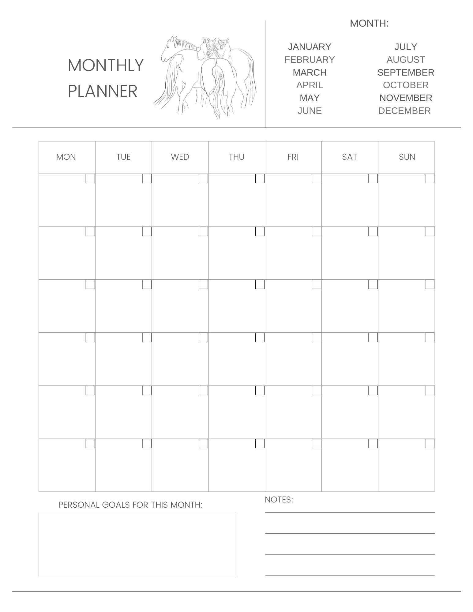 Minnesota Equine Photographer Rebeca Paro Photography LLC — Shop