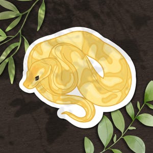 Ball Python - Banana | Kiss-Cut Sticker Decal