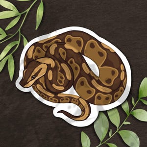Ball Python - Normal Morph | Kiss-Cut Sticker Decal