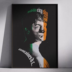May include: A framed poster with a black background features a stylized portrait of a person with the Irish flag colours. The text "dublin city sky" is at the top, and "fontaines d.c." is at the bottom.