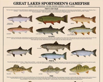 Great Lakes Fish Poster, Identification Chart and Fishermen Guide