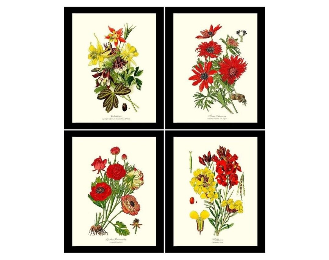 Red Garden Flower Print Set | Vintage Botanical Wall Art Decor - Etsy