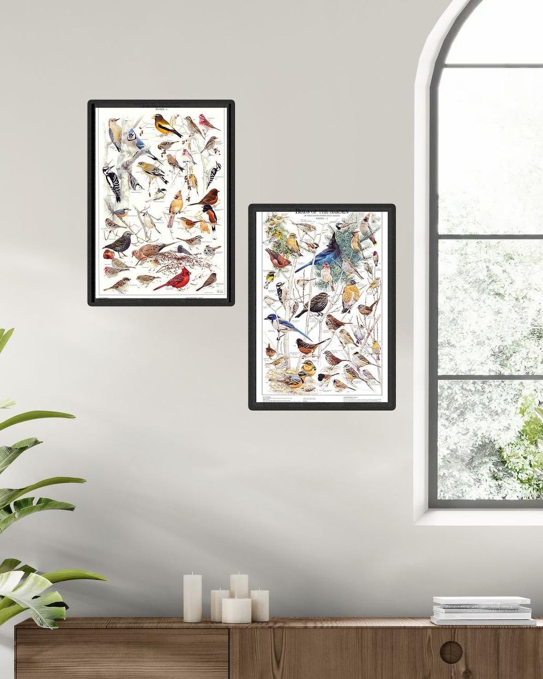 Backyard Bird ID Charts | Summer and Winter Garden ( Western or Eastern ...