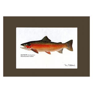 Fish Print | Rainbow Trout  - Matted and Unframed Fishing Wall Art Decor
