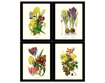 Spring Botanical Print Set | Vintage Flower Botanical