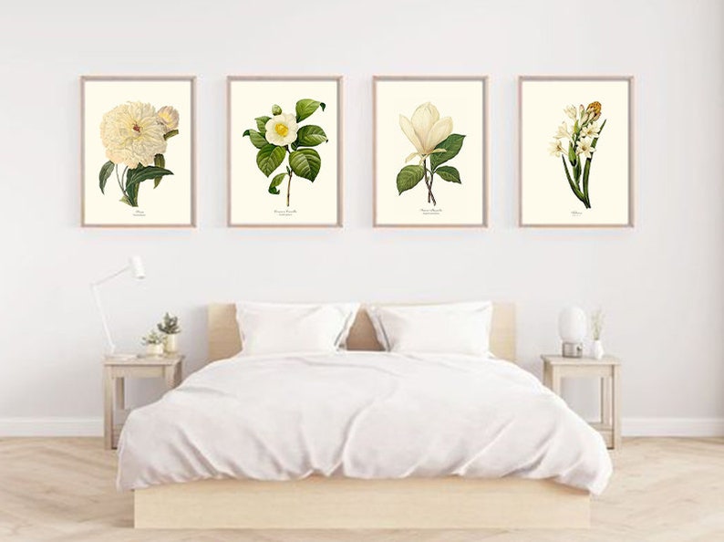 White Flower/Floral Vintage Wall Art Print Set Vintage Botanical Wall Art Floral Illustration image 3