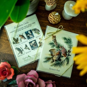 Cartes de correspondance Audubon Owl