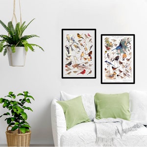 Backyard Garden Bird Posters | Western Garden Bird Print Wall Art Set | Summer and Winter Species Identification Charts