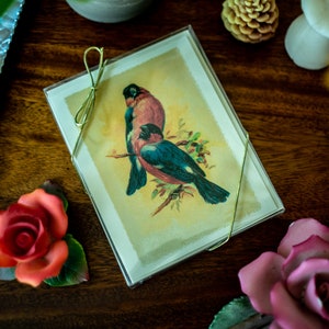 Vintage Bird Wall Art Note Cards