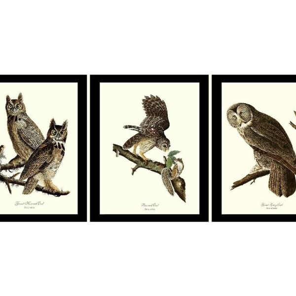 Owl Wall Art Etsy