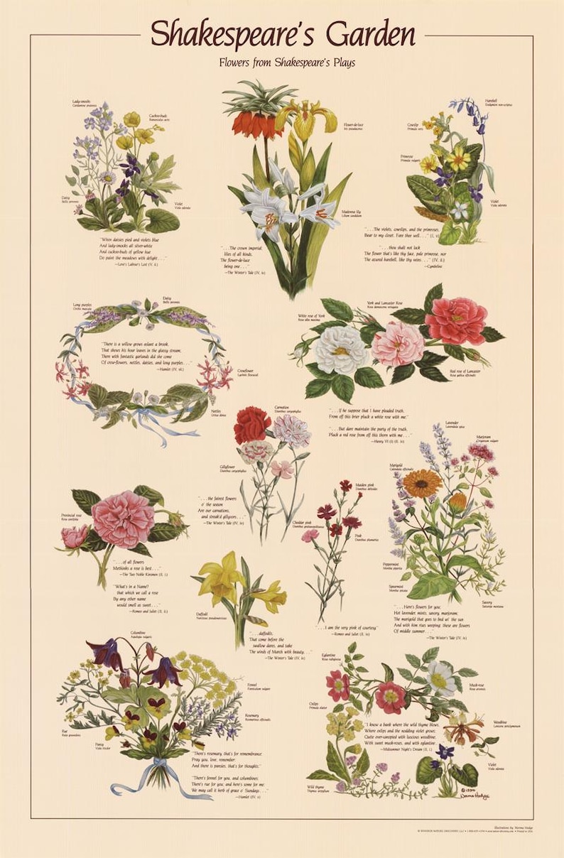 May include: A vintage botanical illustration poster titled "Shakespeare's Garden: Flowers from Shakespeare's Plays". The poster features a variety of flowers with their names and Shakespearean quotes about them. The flowers are illustrated in a realistic style with vibrant colors.