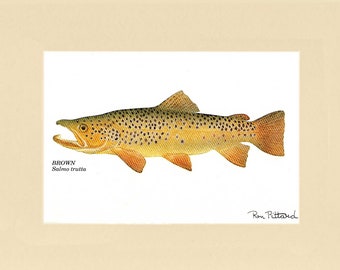 Brown Trout Fish Print - Matted and Unframed Fishing Wall Art Decor