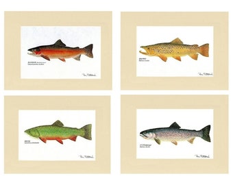 Trout Fish Print Wall Art Set - Matted/Unframed Fishing Wall Decor