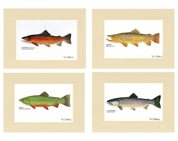 Buy Trout Fish Print Wall Art Set Matted/unframed Fishing Wall Decor Online  in India 
