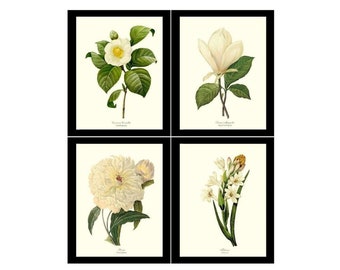 White Flower/Floral Vintage Wall Art Print Set | Vintage Botanical Wall Art | Floral Illustration