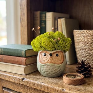 May include: An owl-shaped ceramic planter filled with vibrant green moss and small, delicate flowers. The planter has a light green base with a detailed owl face. A wooden compass and pinecone sit nearby, with a stack of vintage books in the background.