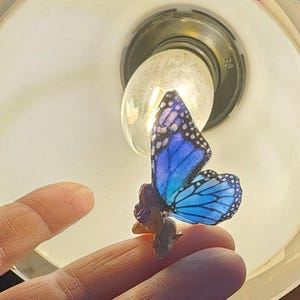 May include: A white ceramic mug with a black handle and the text "But First, Coffee" in a black, bold font. The mug is on a white surface.