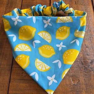 Citroenknijppatroon hondenbandana scrunchie, huisdieraccessoire zomerpret bandana