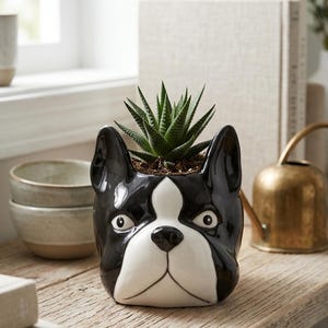 Peut inclure: Un pot de fleurs en céramique en forme de tête de bouledogue français noir et blanc. La finition brillante met en valeur les oreilles pointues et les marques faciales distinctes. Une petite plante succulente verte est plantée à l'intérieur.