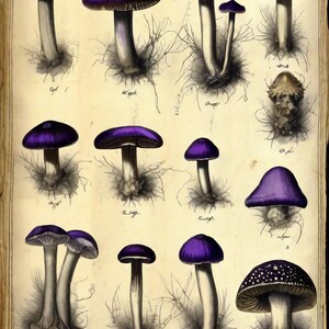 Cortinarius Violaceus — Violet Webcap Fine Art Print | Dark Mycological Wall Art | Digital Download