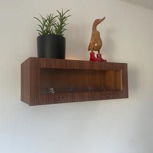 May include: A rectangular wall-mounted display case with a dark wood grain finish and a glass front panel. Inside the case are four small figurines. On top sits a black pot containing a green plant and a wooden duck figurine wearing red boots.