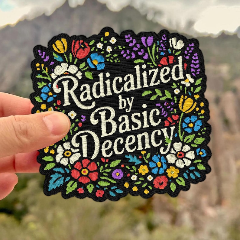 Radicalized By Basic Decency Patch Funny Meme Political Activist Human Rights Humor Embroidered Patch Iron On Keychains Hook & Loop image 7