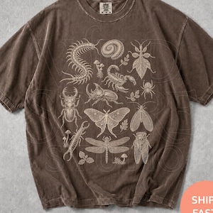 May include: A brown short-sleeve t-shirt featuring a detailed cream-coloured graphic print of various insects, including a centipede, scorpion, beetle, moth, and dragonfly, along with small mushroom illustrations and a central spiral shell.