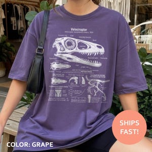 May include: Grape-colored t-shirt featuring a detailed diagram of a Velociraptor skeleton and anatomy. The graphic includes labeled parts of the skull, teeth, and skeletal structure. The text "Velociraptor mongoliensis Osborn, 1924" is also visible.