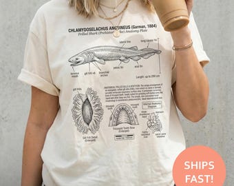 Camiseta de anatomía del tiburón anguila, camiseta de tiburón anguila, camiseta de biología marina, camiseta de aguas profundas, camiseta de ciencias oceánicas