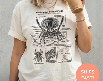Peacock Spider Anatomy Shirt, Peacock Spider TShirt, Jumping Spider Tee, Arachnid Anatomy T-Shirt, Entomology Study Top