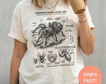 Goliath Tarantula Anatomy Shirt, Tarantula Anatomy TShirt, Spider Diagram Tee, Arachnid Illustration T-Shirt, Science Study Top