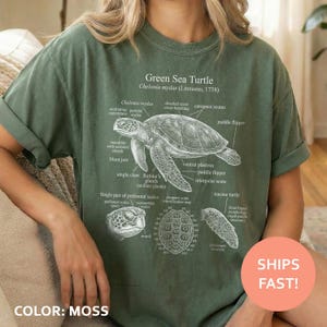 May include: A moss green t-shirt with a detailed diagram of a Green Sea Turtle, including anatomical labels. The design includes the text "Green Sea Turtle" and "Chelonia mydas (Linnaeus, 1758)".