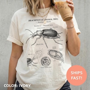 May include: Ivory-colored t-shirt featuring a detailed black and white illustration of a Bombardier Beetle, with labeled anatomical diagrams and the text "BRACHINUS SP. (WEBER, 1801)". The shirt also has the text "SHIPS FAST!"