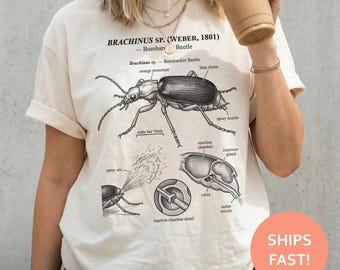 Bombardier Beetle Anatomy Shirt, Brachinus Beetle TShirt, Chemical Defense Tee, Insect Diagram T-Shirt, Science Illustration Top