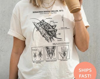 Weta Anatomy Shirt, Giant Weta TShirt, Insect Diagram Tee, Scientific Plate T-Shirt, Biology Illustration Top
